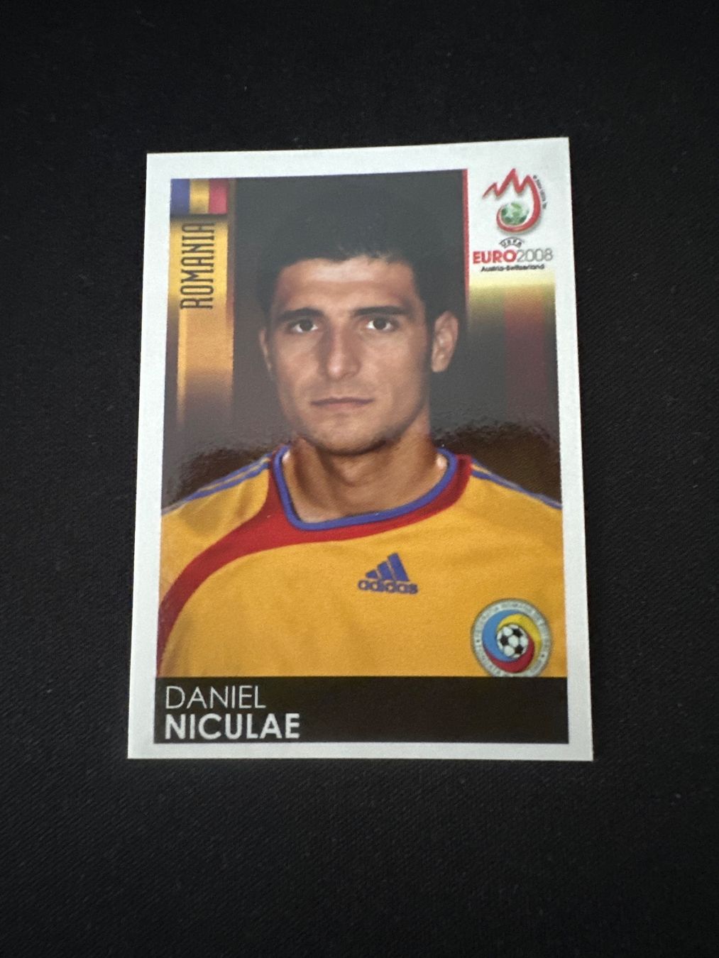Panini Carte collezionabili: Panini UEFA EM 2008 Sticker - Nr. 330 – Usato da Sulz AG venduto da DealWerk
