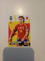 Fifa World Cupp Panini Adrenalyn XL Sammelkarten: Zubimendi 