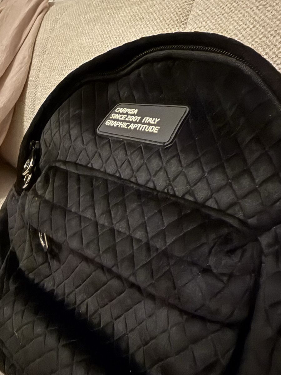 Rucksäcke: Mini Rucksack Samt - Carpisa – Gebraucht aus Gossau SG von laura_dema 1
