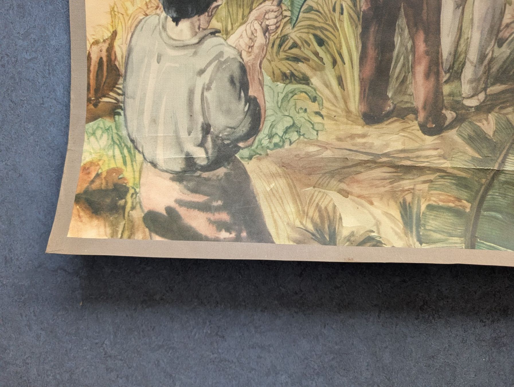 Foto & Immagini: Schulwandbild - Bananenplantage – Usato da Luzern venduto da JenKu 4