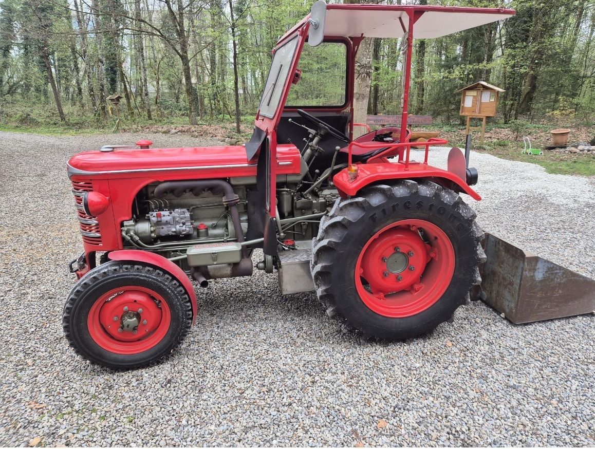 Hürlimann Trattori: Hürlimann D 65 – Usato da Wolfwil venduto da 11oli11