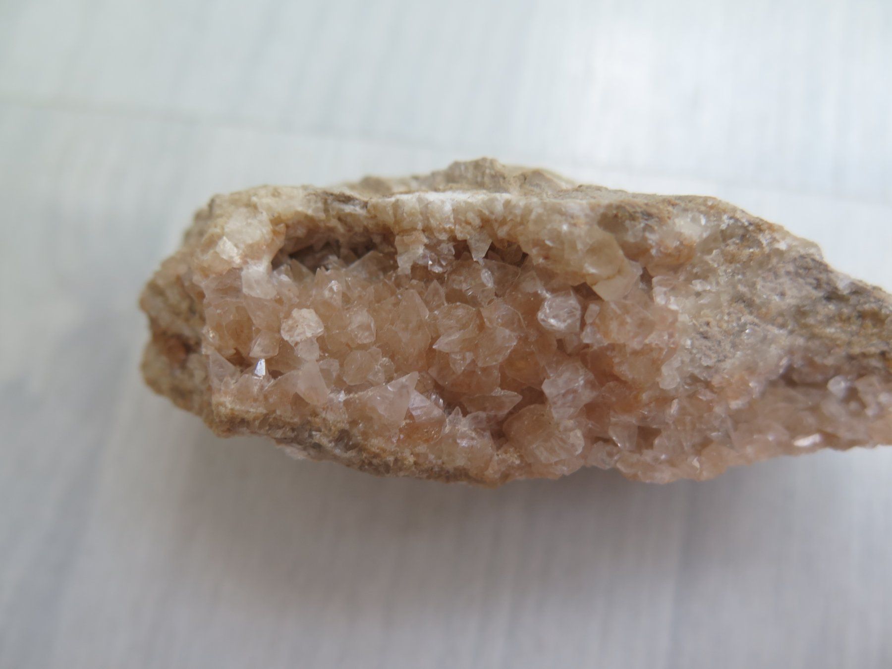 Minéraux & Lithothérapie: Fossil und eine Calcit Stufe – D'occasion à Schaffhausen par Yamakana51L8736OQ8 5