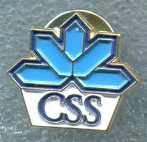 CSS  Logo