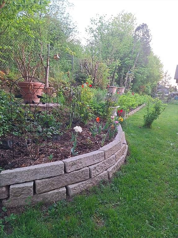 Fendivista: Palisade – Usato da Madiswil venduto da Oleander2