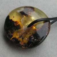 ♥ BALTISCHER BERNSTEIN / PI SCHEIBE / HONIG / 25 MM EINSCHLÜ