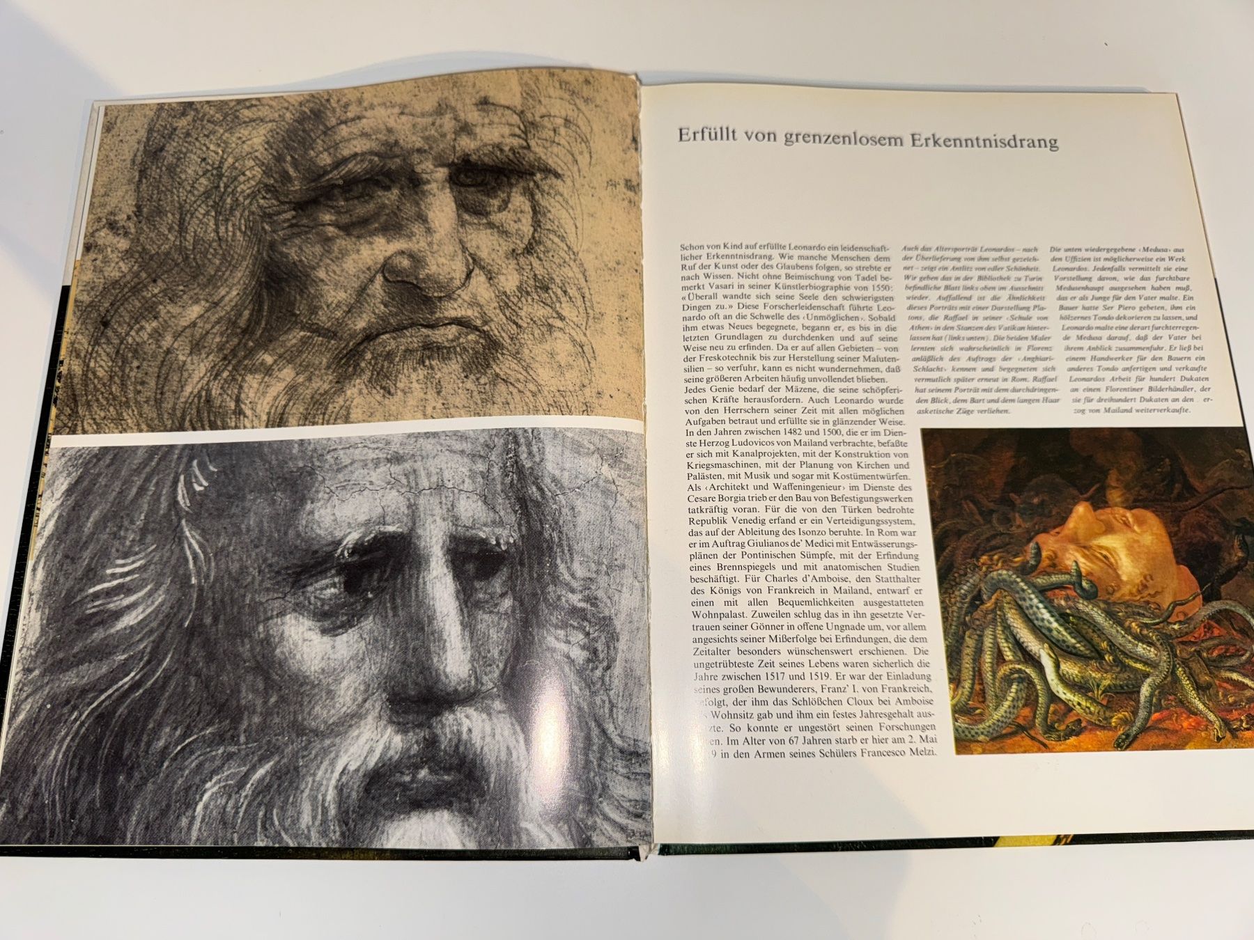Libri: BUCH: Leonardo da Vinci und seine Zeit – Usato da Grosswangen venduto da Second_hand_paradise 2