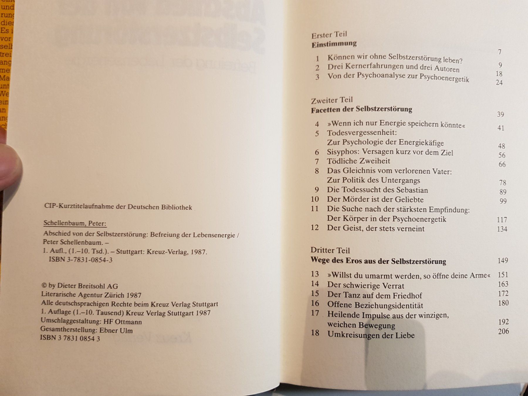Bücher: Peter Schellenbaum Abschied von der Selbstzerstörung 1987 – Gebraucht aus Walterswil BE von Lonitti 1