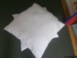 Zwei weisse Kissen 1x gebraucht