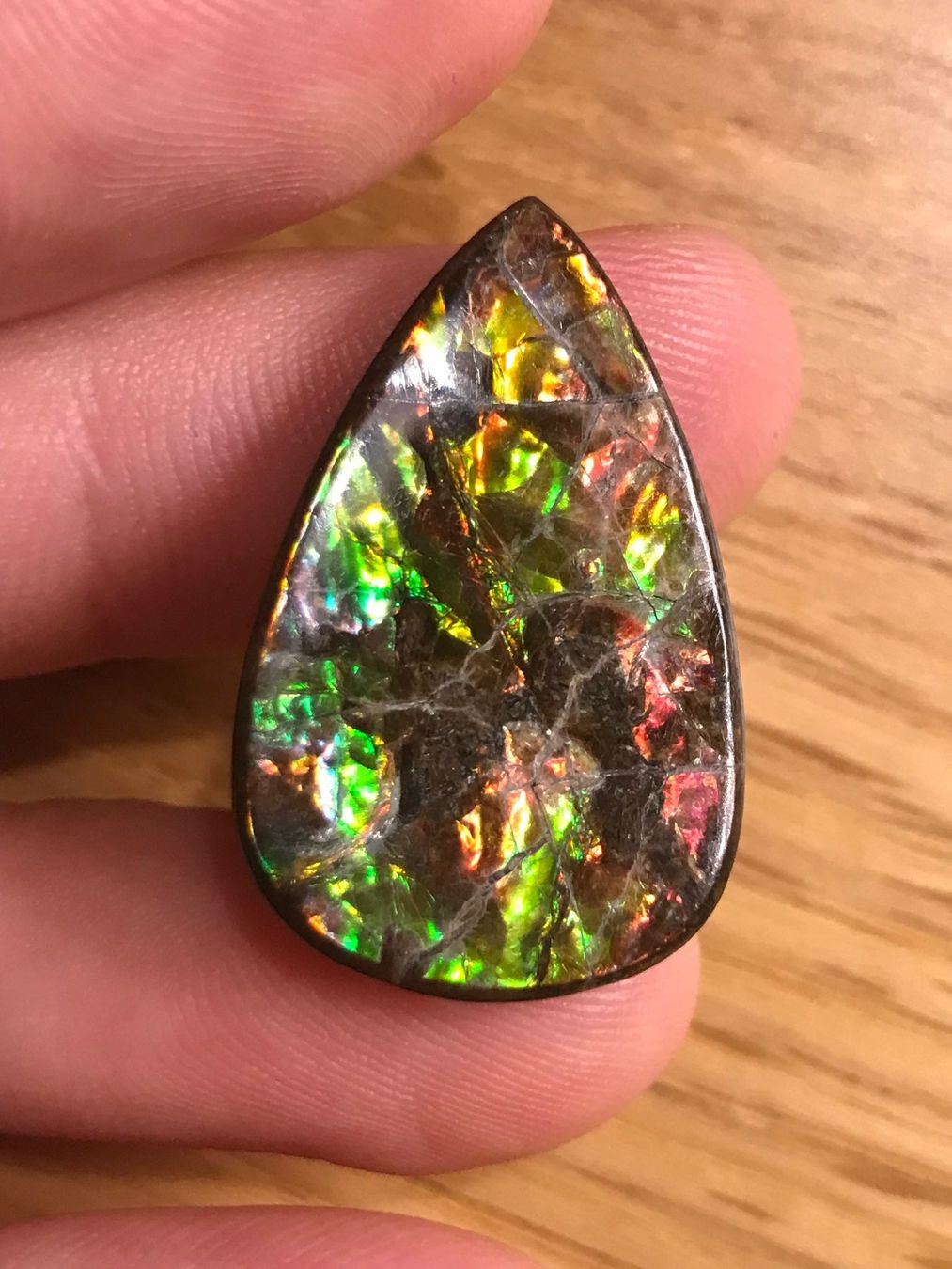 Fossilien: Ammolith Triplet Cabochon, 25 Karat, Kanada – Neu (gemäss Beschreibung) aus Biel von djvalbnc