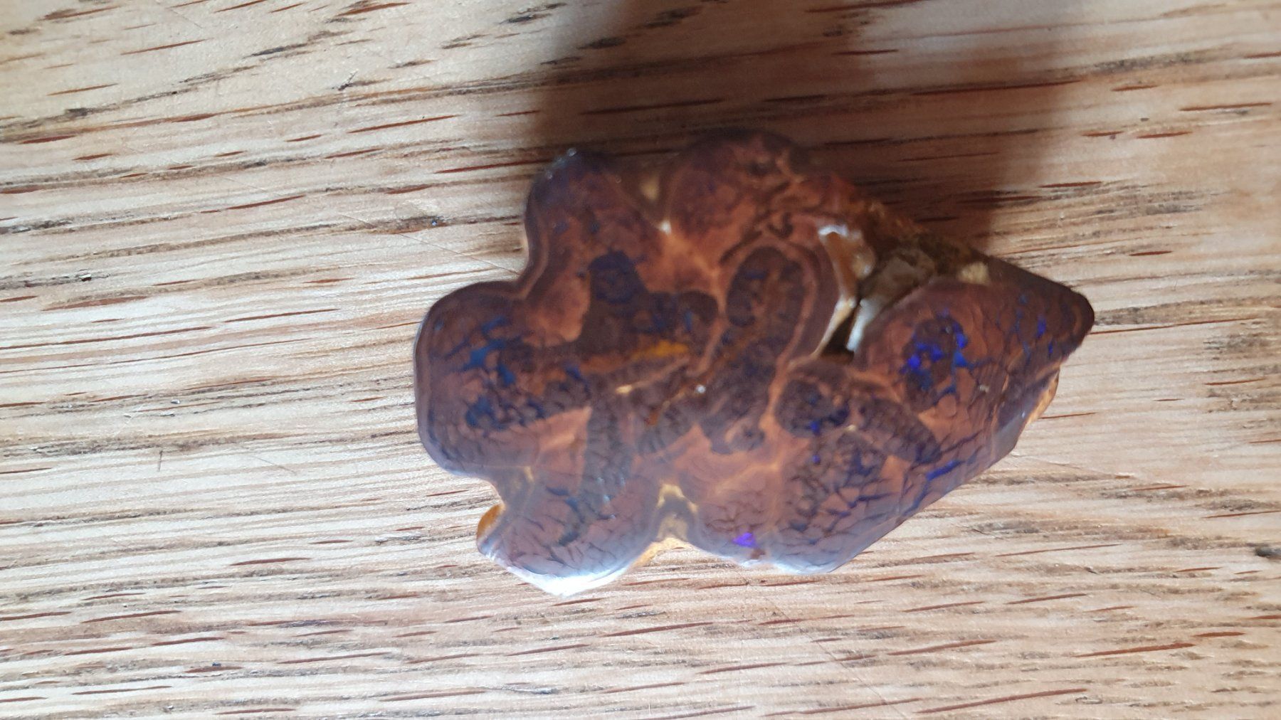 Pietre preziose: Boulder Opal – Usato da Flawil venduto da Naphtali 7