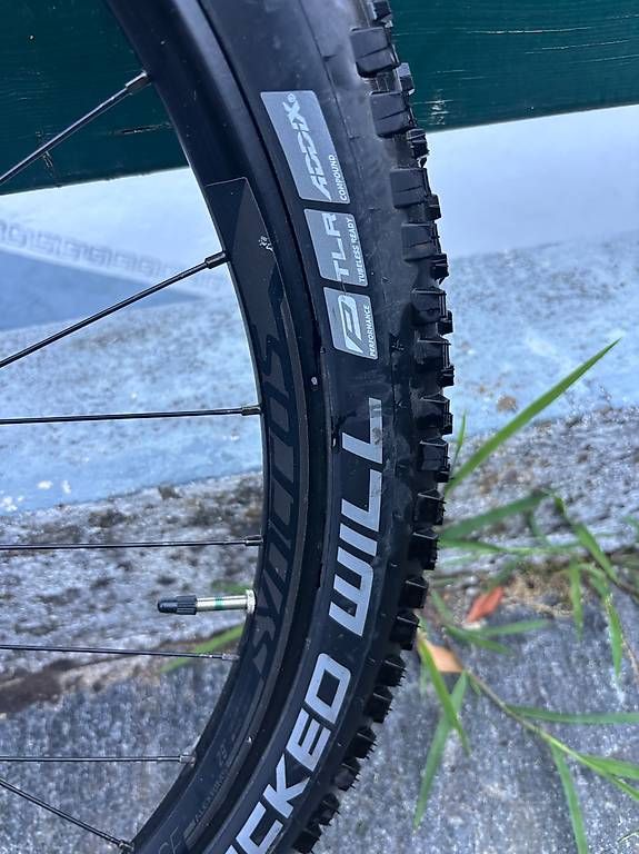 Pneus & Roues: Set ruote Mtb 29 – D'occasion à Magliaso par luc_kyv8 2