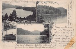 Gruss vom Türlersee, Vierbildkarte, gelaufen 1903