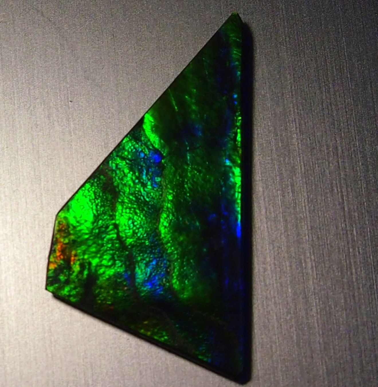 Fossili: 17  Karat Natural funky GEM Ammolite AAA! – Nuovo e nell'imballaggio originale da Reinach BL venduto da Marblue 1