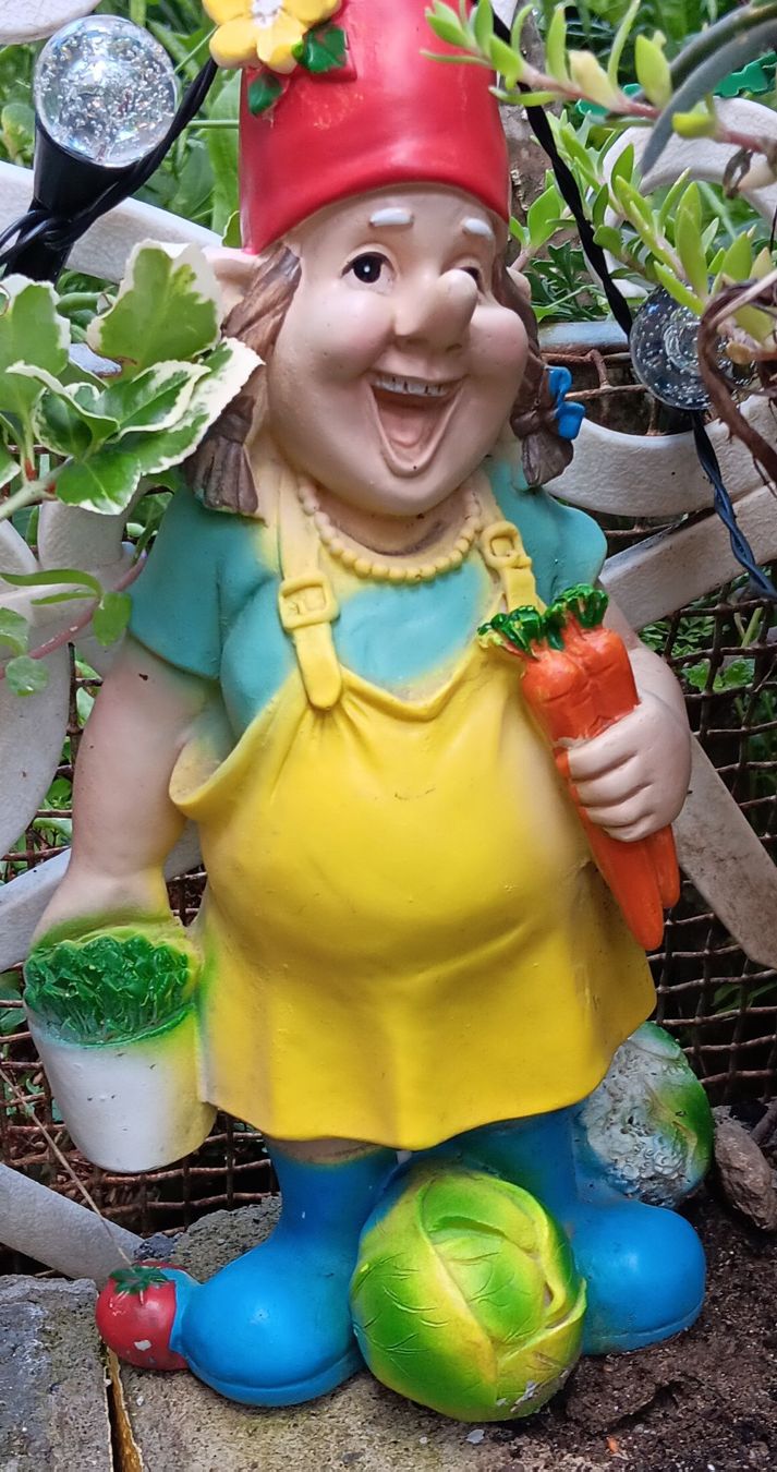 Tutte le decorazioni: Gnomo da giardino simpatico,  – Usato da Carena venduto da gra_yz7p