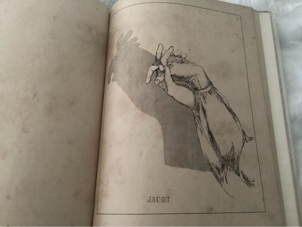 Libri: ANTKES BUCH OMBROMANIE SCHATTENSPIELE 1860 – Usato da Münchenstein venduto da NoSu98 4