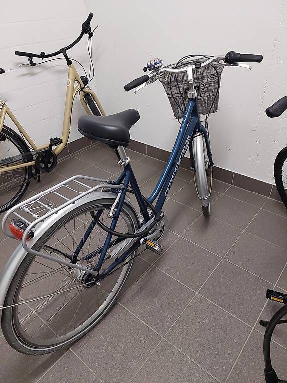 Biciclette: Fast neues Velo  – Usato da Rothrist venduto da lil_6mn9