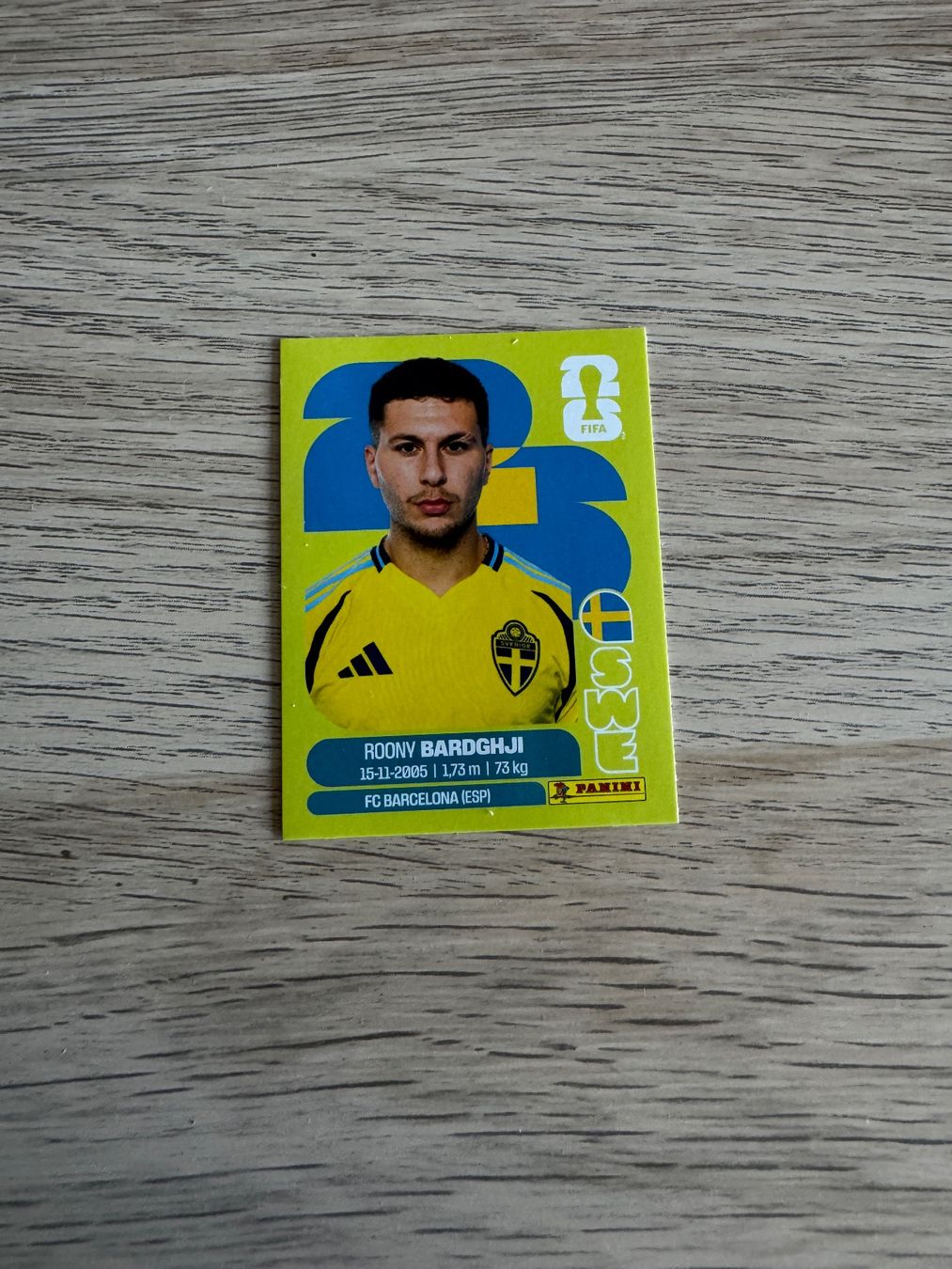 Panini Carte collezionabili: Roony Bardghji Panini Sticker 2026 – Nuovo (secondo la descrizione) da Turbenthal venduto da Meraki