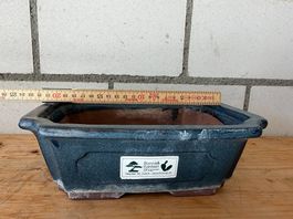 Bonsaischale Keramik blau glasiert ca. 22 × 17 × 7.5 cm