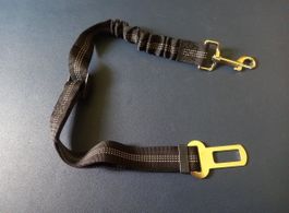 5x Gürtel für Hunde im Auto - Ceinture pour chien en voiture