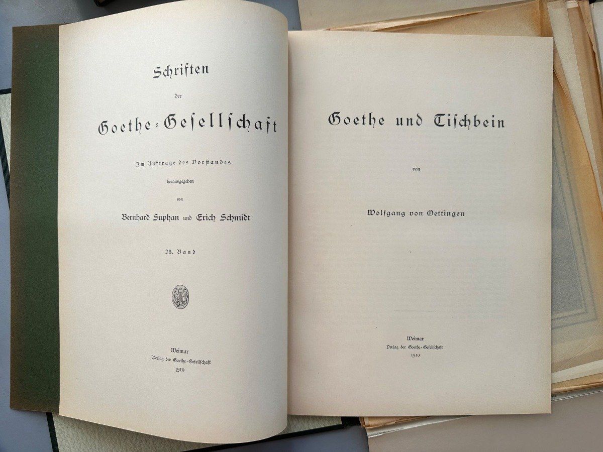 Libri: 11 Schriften der Goethe-Gesellschaft – Usato da Zürich venduto da allp 7