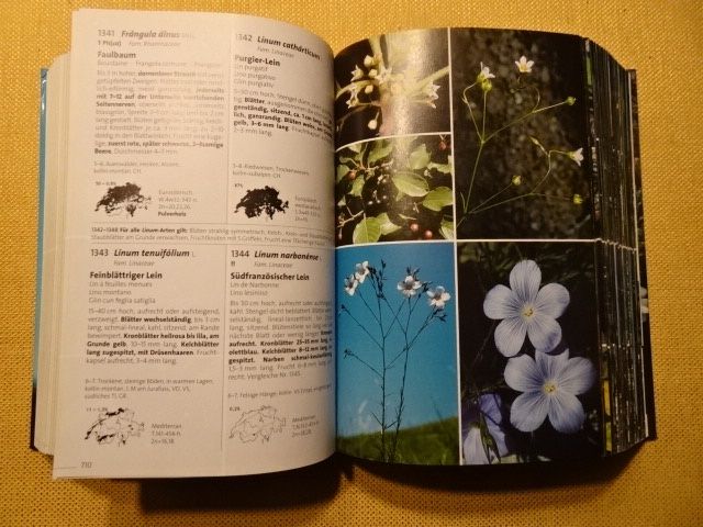 Libri: Flora Helvetica - 2 Bücher – Usato da Oberweningen venduto da Gerini 7