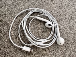 Apple - Earpods Lightning