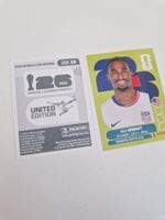 Panini Sticker USA19