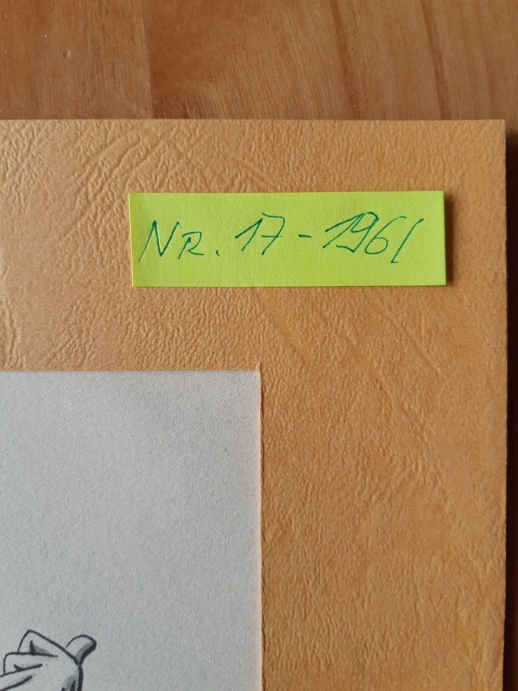 Grafica & Litografie: Nr. 3 original Litho Nebelspalter – Usato da Grindelwald venduto da carro5 2