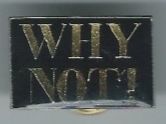 WHY NOT!, Pin