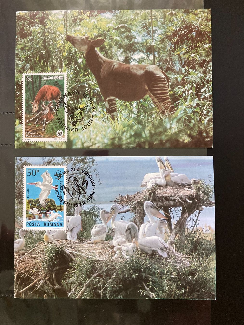 Alle Briefmarken: WWF 1984/86 Lot 5 Maximumkarten Pelikan Okapi Taube Bongo – Neu (gemäss Beschreibung) aus Winterthur von schnueps 1