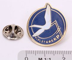 Swiss Air Force-Pin FLPLSTABSKP 7 Rare