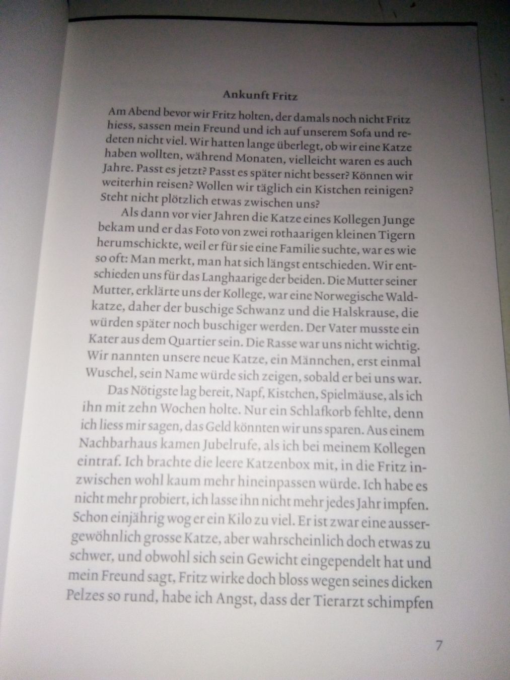 Bücher: Lieben mich meine Katzen? - Eine Recherche (Birgit Schmid) – Gebraucht aus St.Gallen von elk2022 3