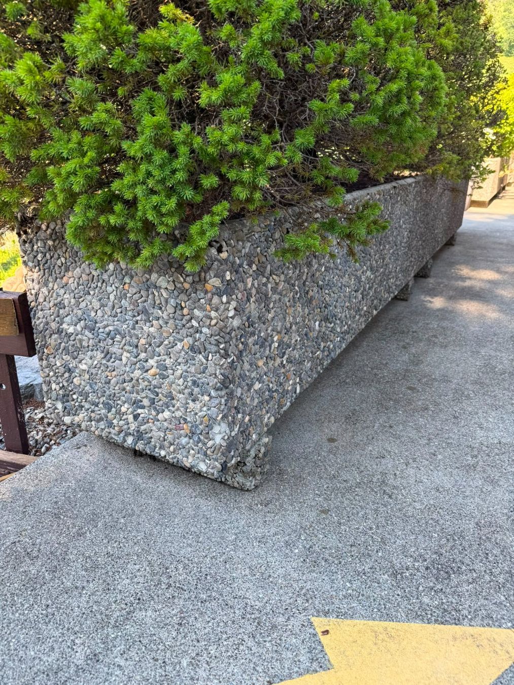 Vasi per fiori: CASTELLO Pflanzentrog rechteckig, 150 cm – Usato da Zweisimmen venduto da Mousie 1