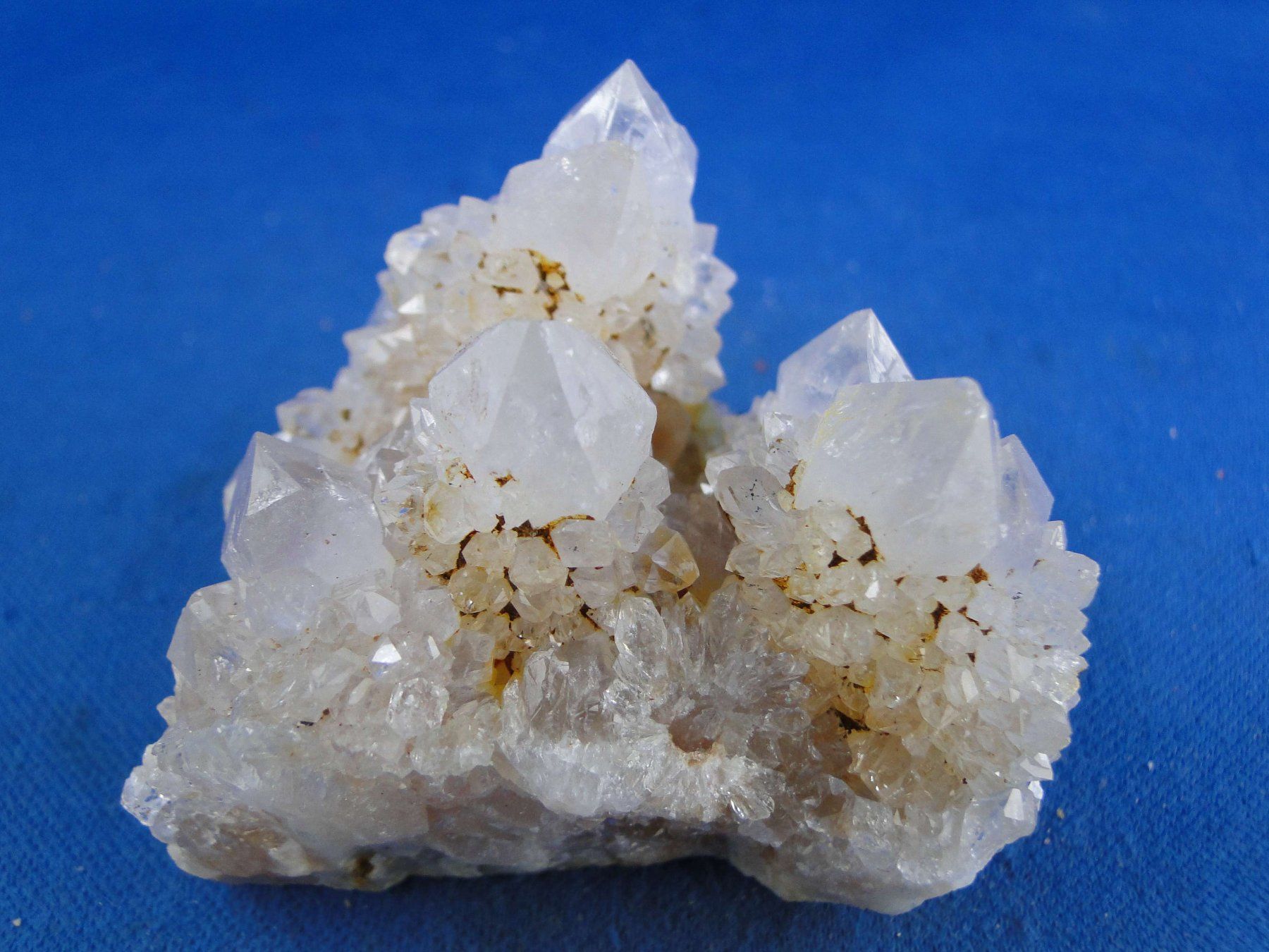 Mineralien & Heilsteine: Quartz var. Amethyst & Kaktus – Neu und originalverpackt aus Schinznach Bad von Demerald