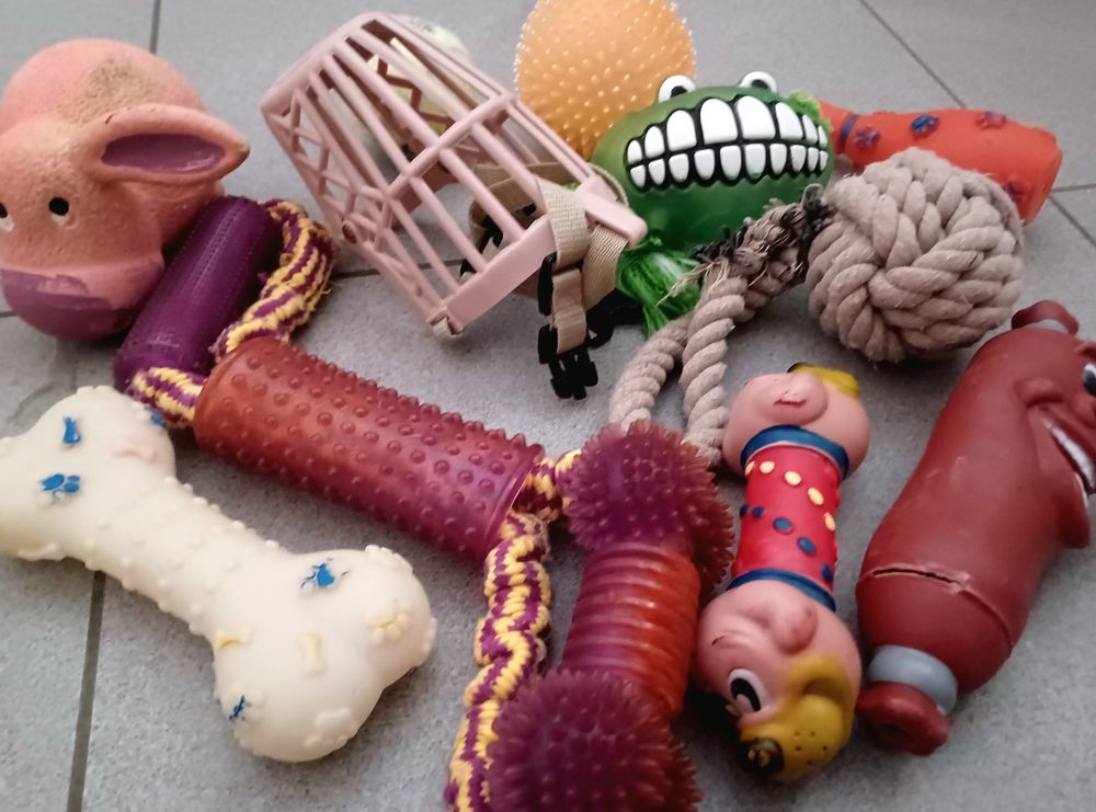 Ab 1. fr !!! 11 Spielsachen für Ihren Hund. Gebraucht, aber Kaufen