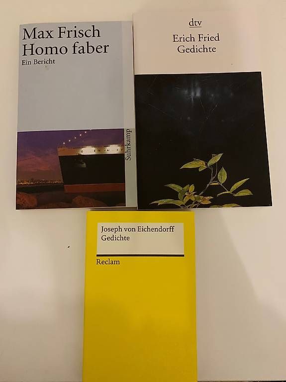 Libri: Gedichte Erich Fried, Max Frisch – Usato da Brunnen venduto da Juhuii7