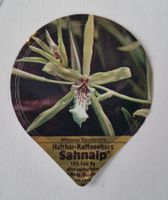 Aus Serie 18 - C - Nr 19