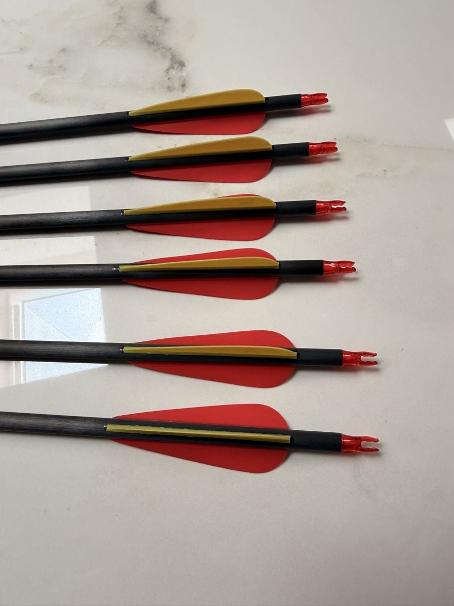 Tiro con l'arco: Compound Bogen Drake 25-75lbs – Usato da Zürich venduto da horoffra 3