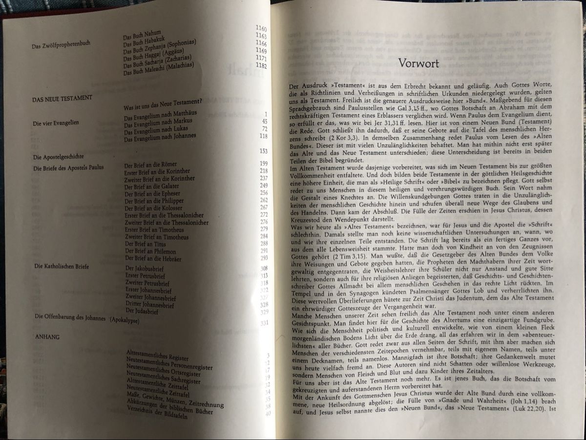 Bücher: Heilige Schrift Altes/Neues Testament – Neu (gemäss Beschreibung) aus Muenchenstein von Holiduli 5