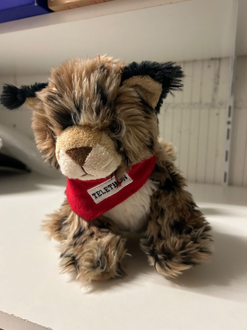 Jouets: Luchs Kuscheltier – Neuf (Voir description) à Wabern par belka72 1