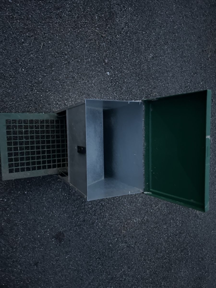 Mangimi: Futterautomat Metall Kunststoff  – Usato da Biglen venduto da Giorgio4 1