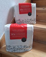 2 Packungen Lillydoo Windeln Gr. 6