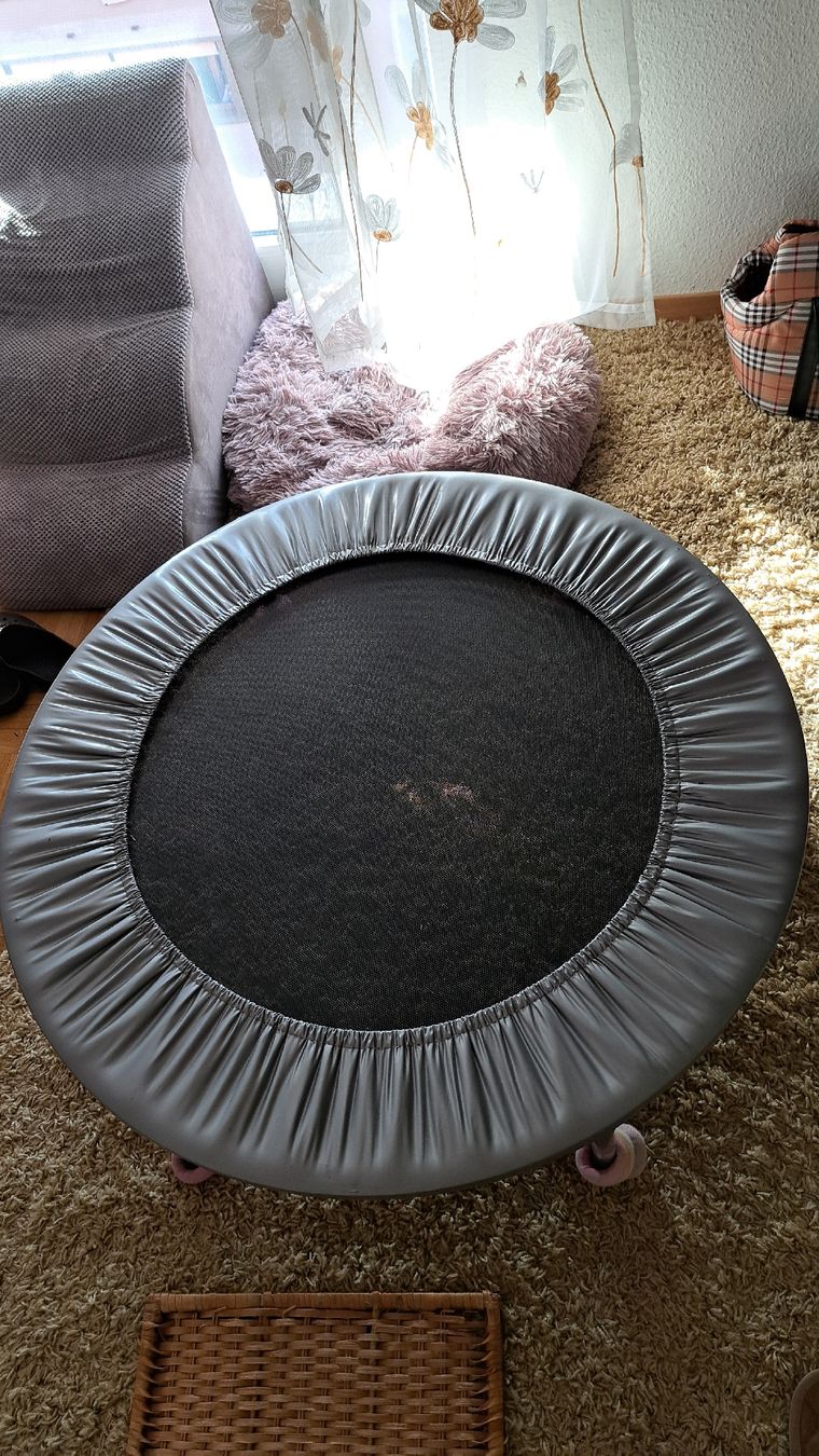 Trampolini: trampoline,  très bon État  – Usato da Meyrin venduto da Zahra011