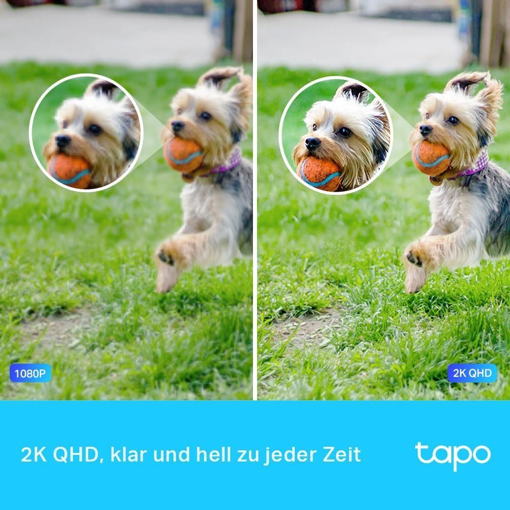 TP-Link Sistemi d'allarme: 2K WLAN Überwachungskamera – Nuovo e nell'imballaggio originale da Nuglar venduto da SaleRitter 1