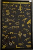 Filmfestival Locarno 1997 Jubiläumsplakat