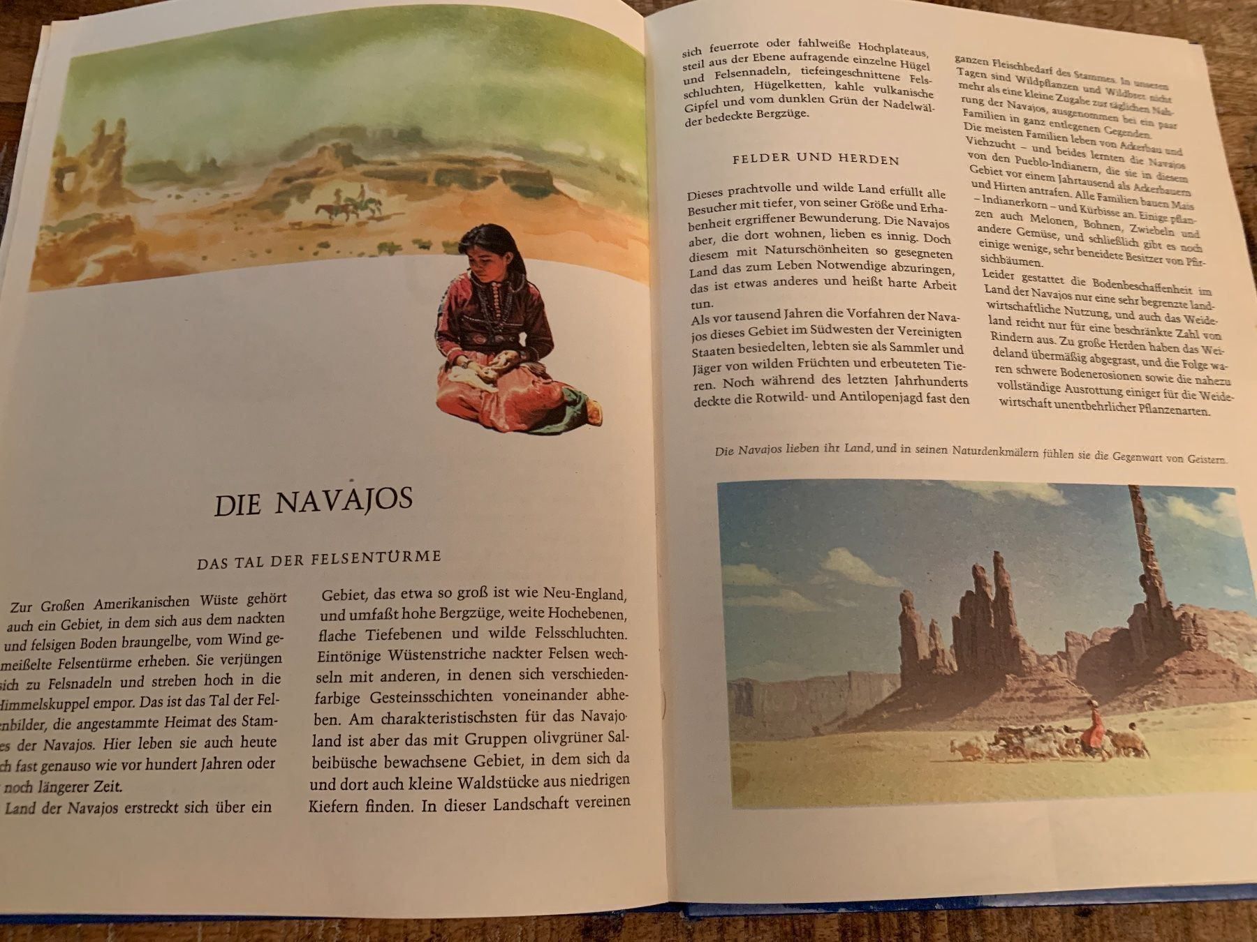 Libri: Walt Disneys Wunderbare Welt Abendteuer – Usato da Regensdorf venduto da Spyke55 4