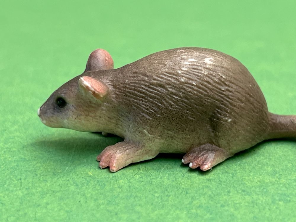 Schleich 14405 Ratte | Kaufen auf Ricardo