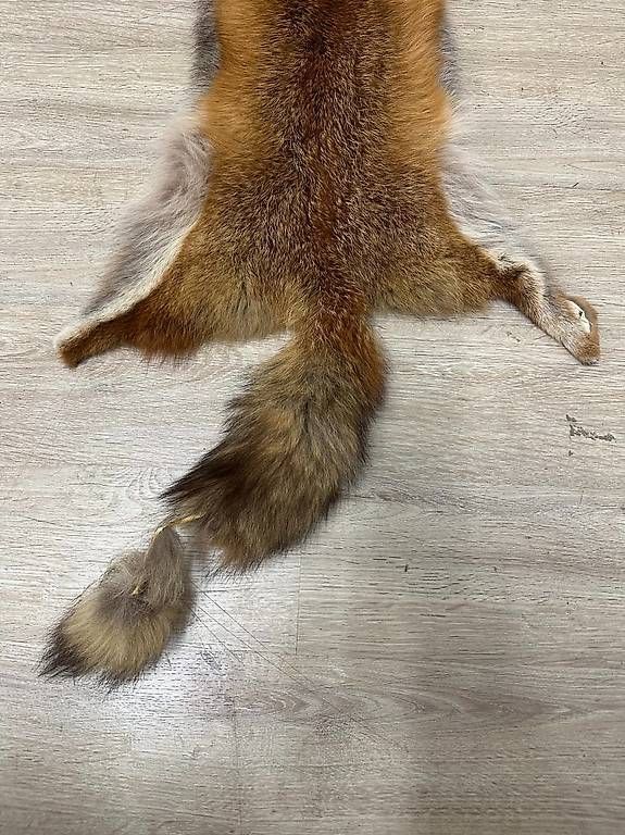 Il mondo degli animali: Vintage Rotfuchs Echtfell Ganzfell mit Schweif – Usato da Obernau venduto da Arche_Noah_Brocki 1
