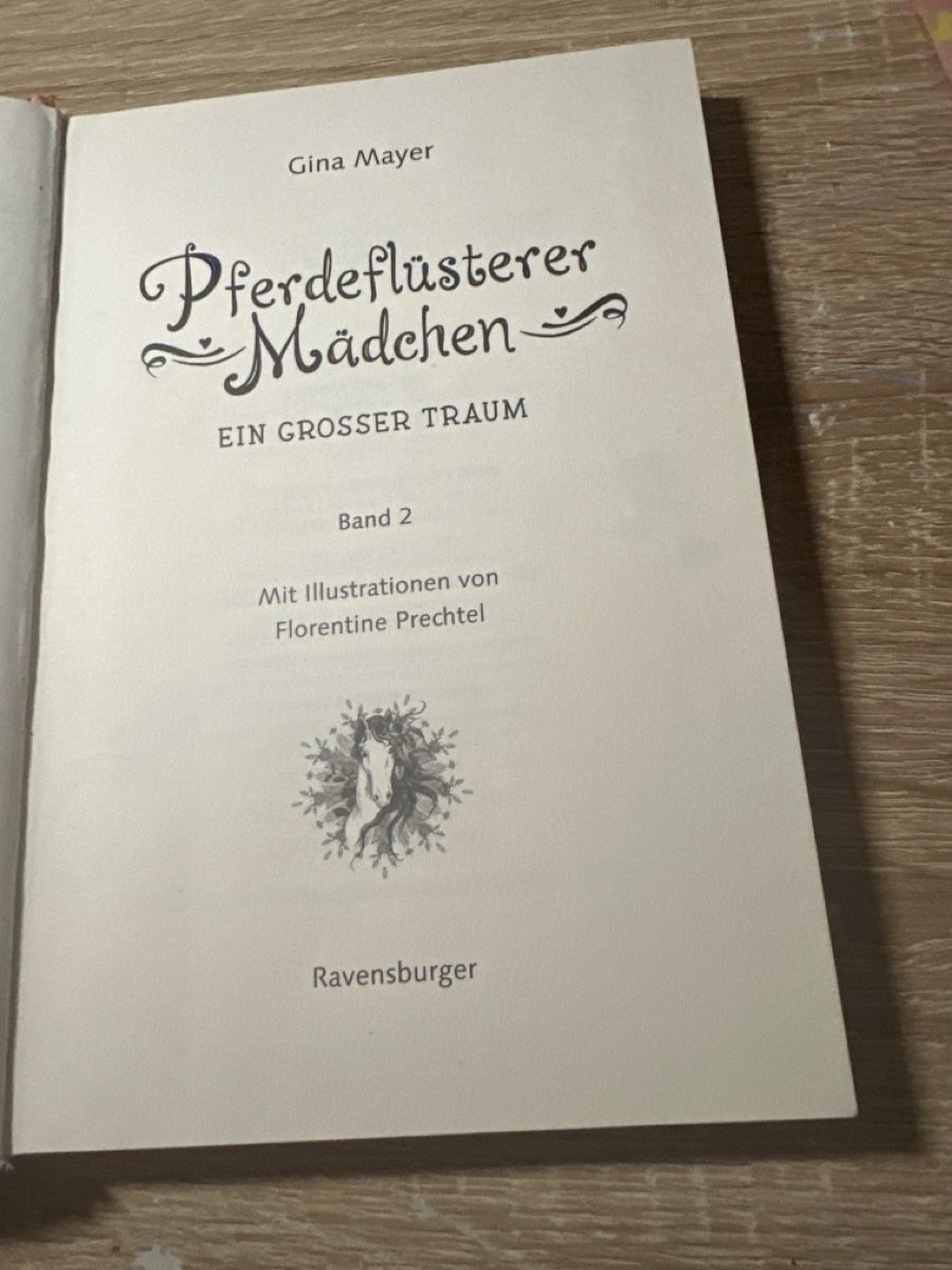 Libri: Buch Pferdeflüsterer Mädchen Ein grosser Traum Band 2 – Nuovo (secondo la descrizione) da Buttikon SZ venduto da Pilatus2013 2