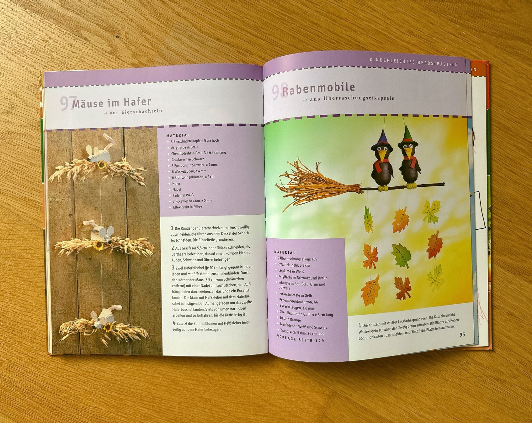 Libri: Bastelbuch 101 schönste Herbstideen – Usato da Muttenz venduto da denise06 2